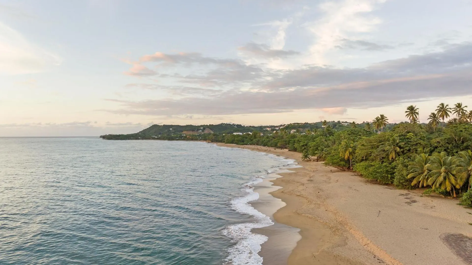Casa Loba Luxe Unit 2 With Private Pool And Garden Apartment Rincon